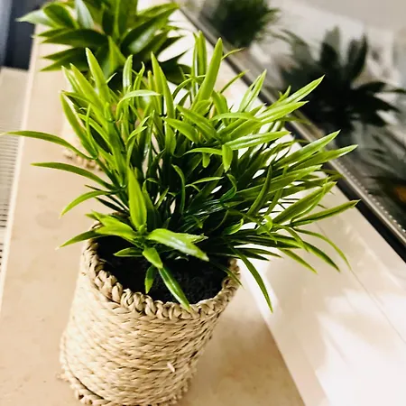 Lejlighed Seemomente Nahe Friedrichshafen & Messe & Flughafen 3-zimmer-apartment Mit Balkon, Parkplatz *