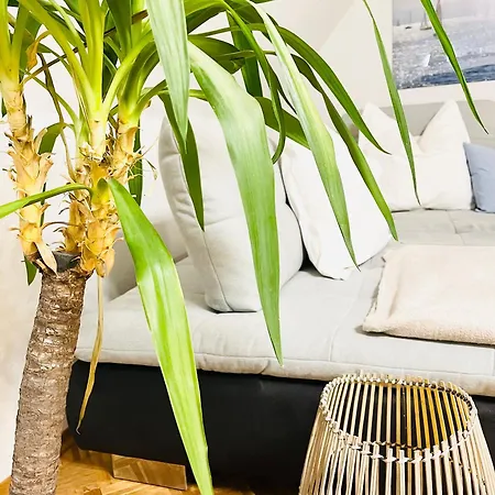 Seemomente Nahe Friedrichshafen & Messe & Flughafen 3-Zimmer-Apartment Mit Balkon, Parkplatz Apartment *