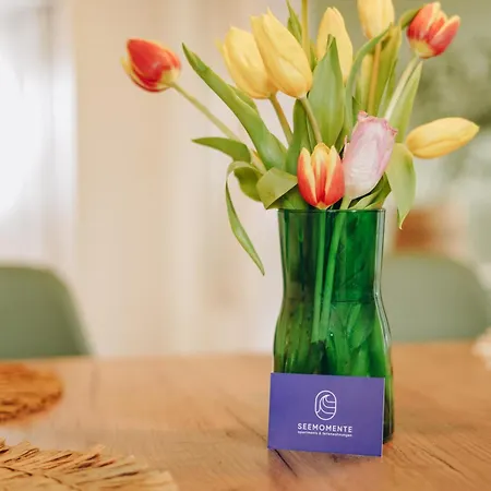Daire Seemomente Premium Bodensee Familienfreundlich 3 Balkon Messe Spieleland Meckenbeuren
